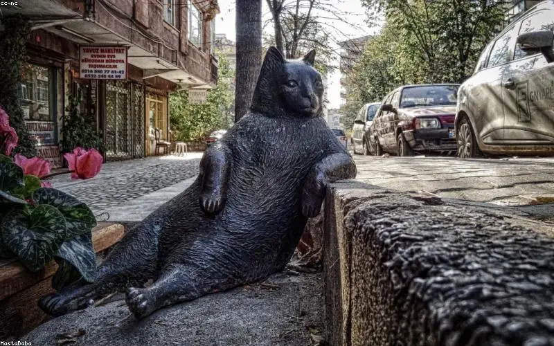 Hướng Dẫn Mẹ Bầu Uống Sắt Và Canxi Đúng Cách Cách Nhau Bao Lâu Tránh Triệt Tiêu Hấp Thu